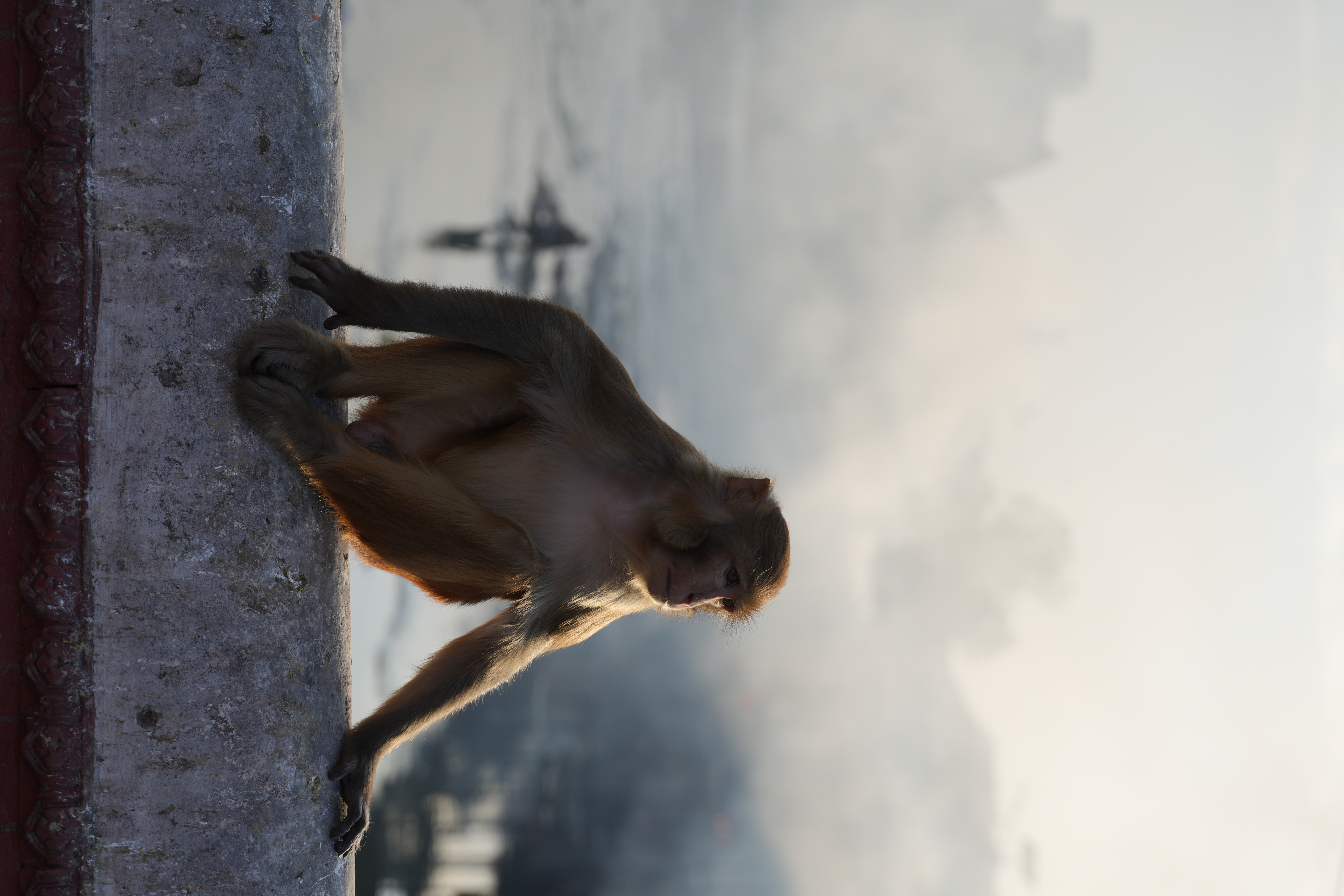 KUMARI in Nepal, de levende godin